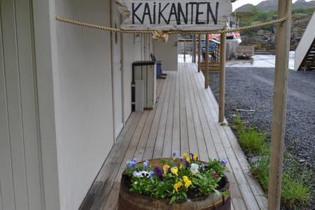 Kaikanten Rorbuer Sennesvik Ngoại thất bức ảnh